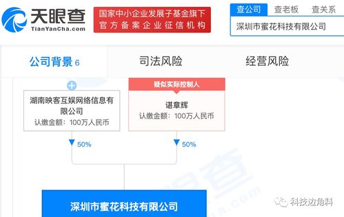 映客布局技術領域，成立深圳蜜花科技公司持股50%提供信息系統集成服務